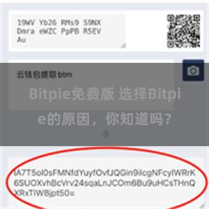 Bitpie免费版 选择Bitpie的原因，你知道吗？