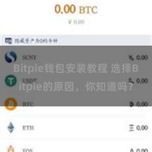 Bitpie钱包安装教程 选择Bitpie的原因，你知道吗？