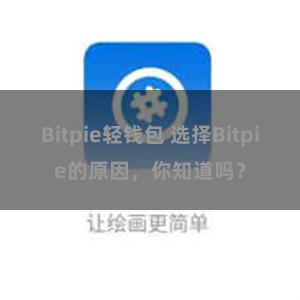 Bitpie轻钱包 选择Bitpie的原因，你知道吗？