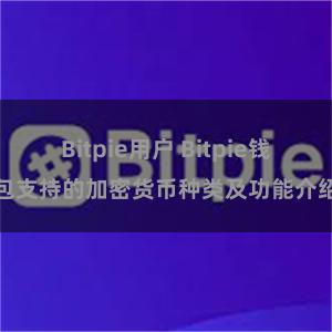 Bitpie用户 Bitpie钱包支持的加密货币种类及功能介绍