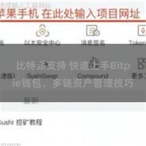 比特派支持 快速上手Bitpie钱包，多链资产管理技巧