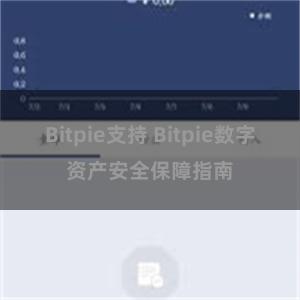 Bitpie支持 Bitpie数字资产安全保障指南