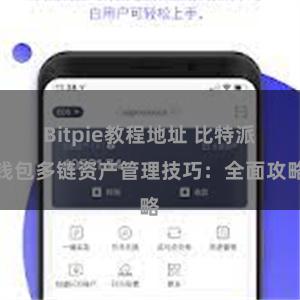 Bitpie教程地址 比特派钱包多链资产管理技巧：全面攻略