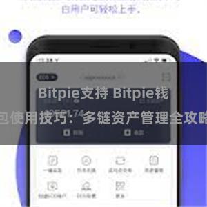 Bitpie支持 Bitpie钱包使用技巧：多链资产管理全攻略