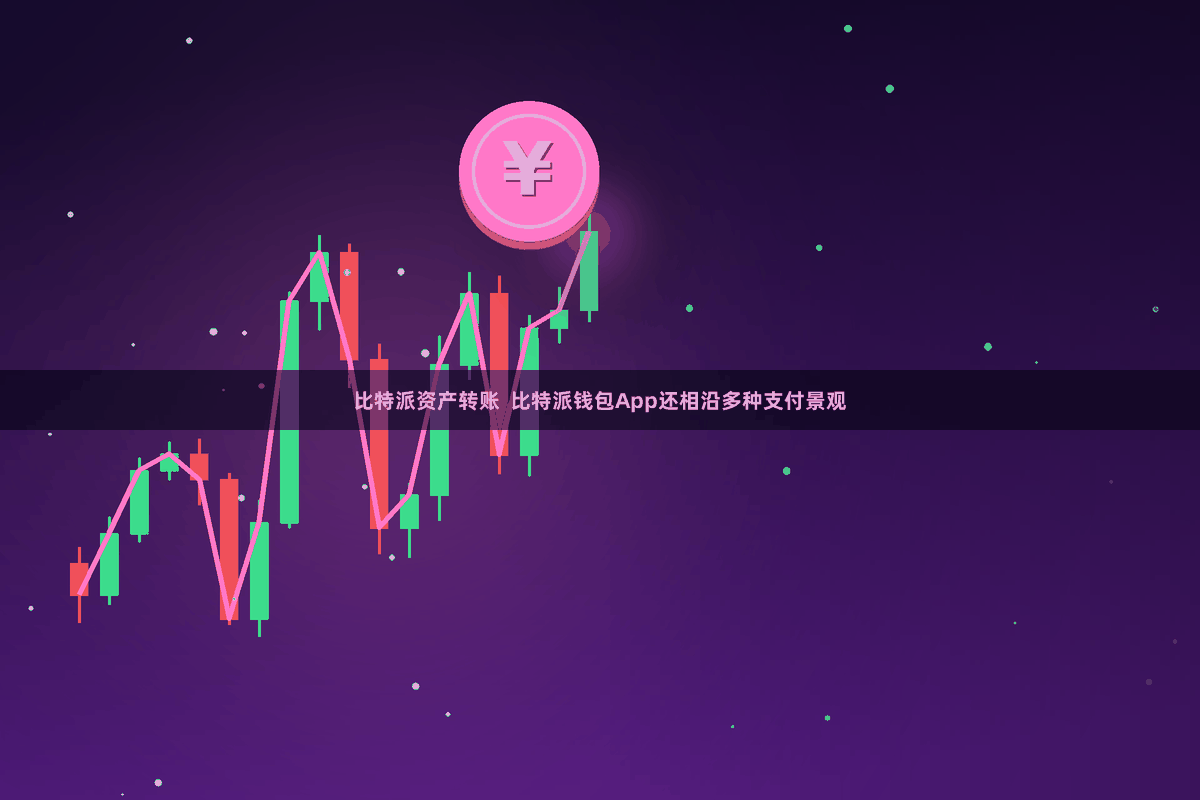比特派资产转账  比特派钱包App还相沿多种支付景观